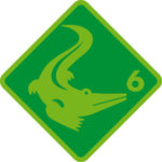 Krokodil Schwimmschule